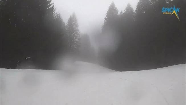Pozvánka 13. 2. 2025