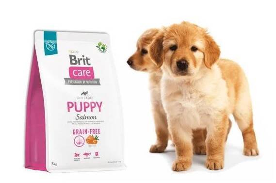 Brit Care Dog Grain-free Puppy - 2