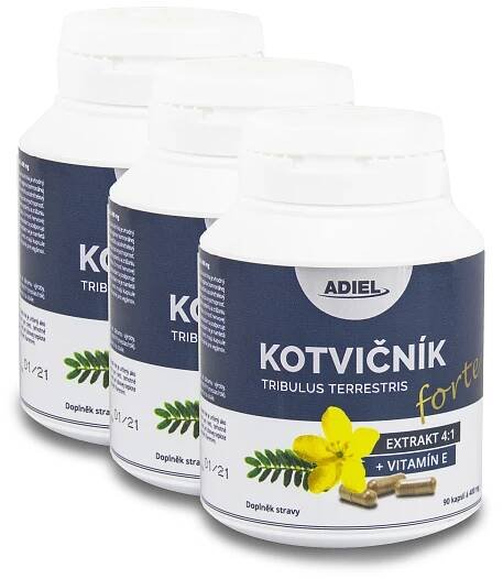 kotvičník forte 3x