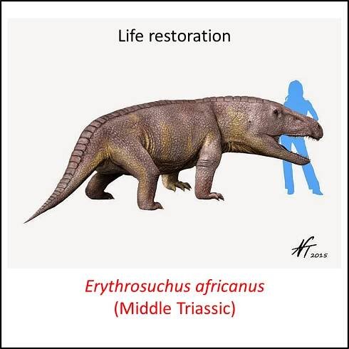 Archosauria stem group