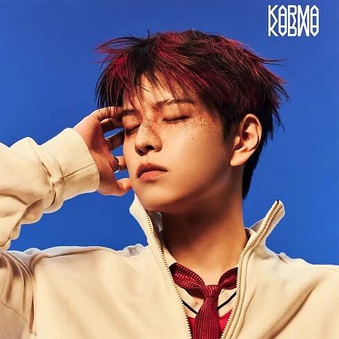 SEUNGMIN (Stray Kids)