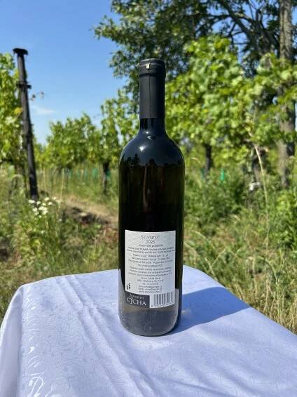 Sauvignon 2023 – polosuché – Víno od Toma – Vinařství Cícha