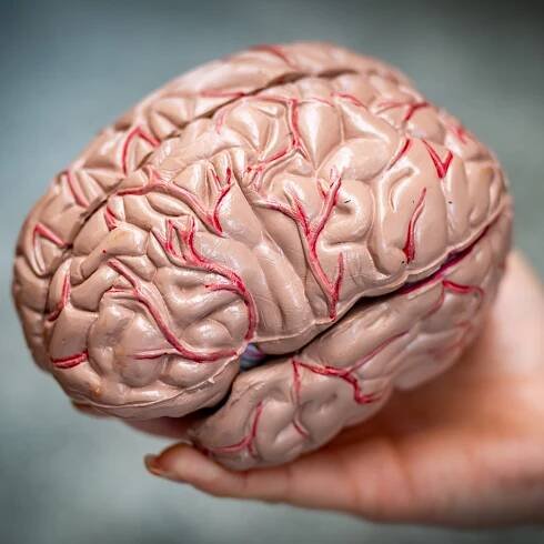 This Workout Supplement May Help With Alzheimer's—New Pilot Study