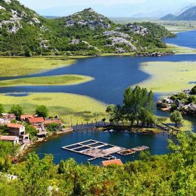 Skadarské jezero: jezero na Balkánském poloostrově na hranicích Černé Hory a Albánie