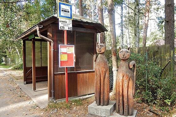 Proč Bohumil Hrabal miloval Kersko. Objevte kouzlo lesů u Nymburka i vy - iDNES.cz