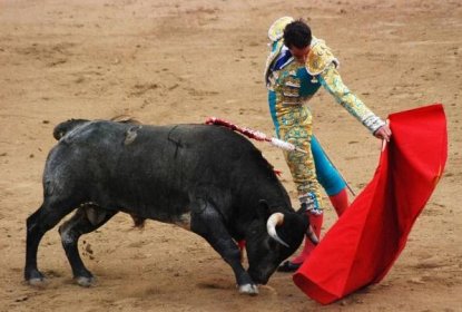 Z býka si matador odnese oháňku