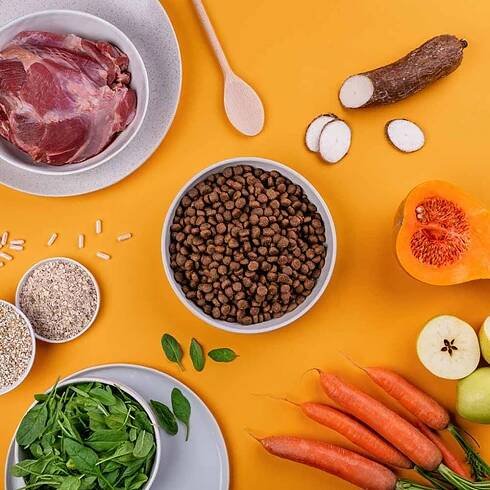Rufruf Smart & Tasty Adult jehněčí s pohankou a probiotiky