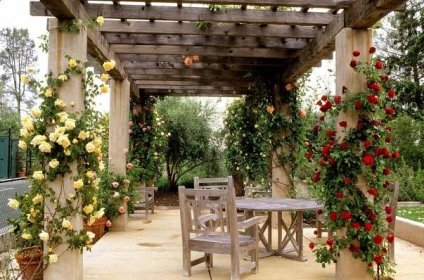 Pergola - kouzelná oáza klidu, která zkrášlí váš dům i zahradu