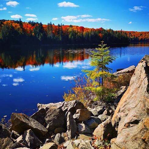 Fall Landscapes in Algonquin Park