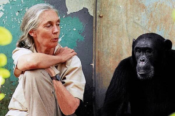 Jane Goodallová a Phillip Berman: Důvod k naději