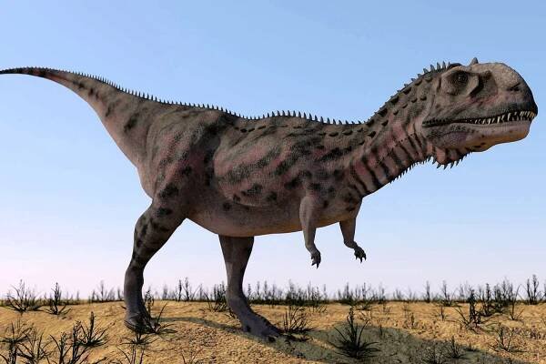 An artist's rending of a <i>T. rex< /i>