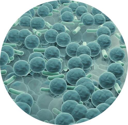 Continuing education - Biocomposites