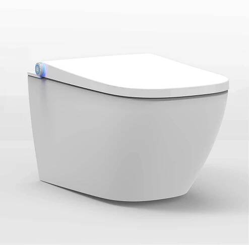 Dusch-WC Basic 1104 von Bernstein