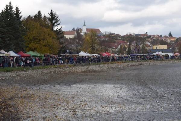 Výlov rybníka Olšovec Jedovnice | Camp Olsovec.cz