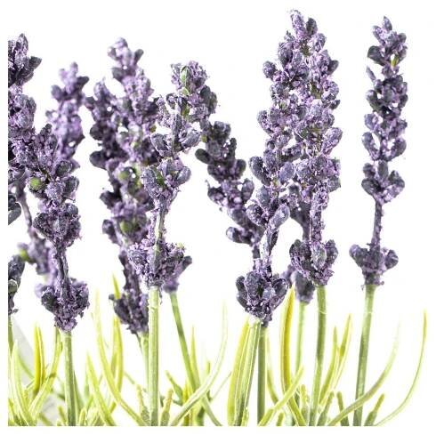 Umělá levandule (výška 27 cm) Lavendi – AmeliaHome
