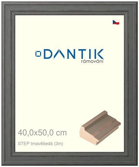 DANTIK rámeček na obraz 40x50 | STEP tmavěšedá (Plexi Čiré)