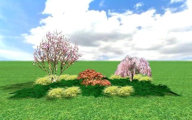 prunus+magnolia3