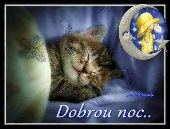Pin van Jana Čechová op Dobrou noc