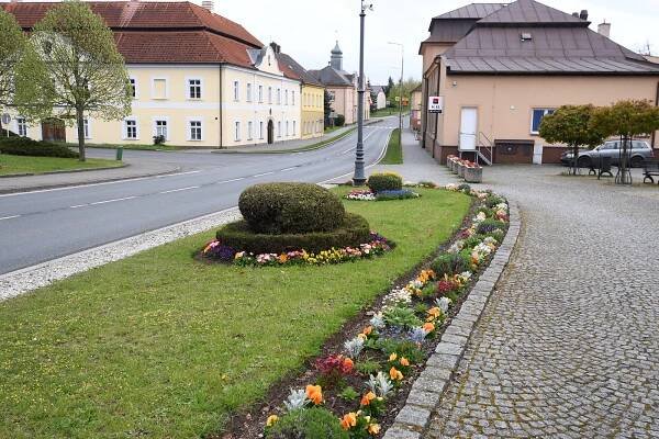 Podívejte se: Náměstíčko v Chodové Plané je plné kvetoucích květů