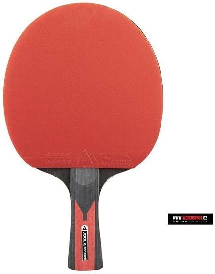 Joola Carbon Speed
