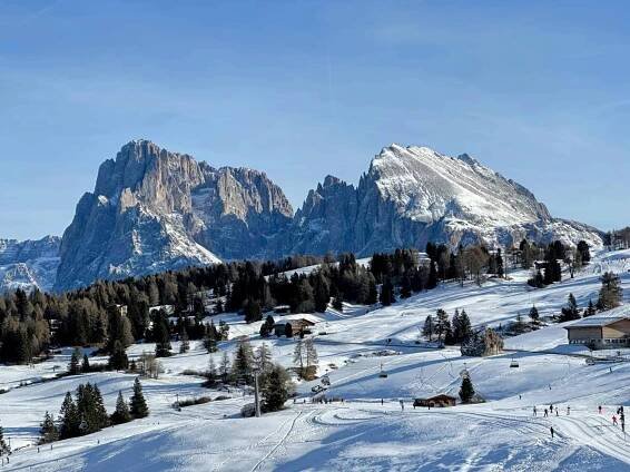 Snowy day on Alpe di Siusi in the Dolomites, Italy. Large mountains in back (Sassolungo and Sassopiatto).