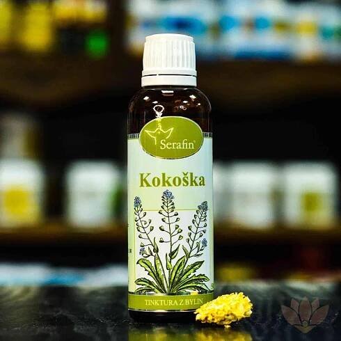 Kokoška - tinktura z bylin