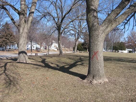 Glen Armil Neighborhood Association | An Extraordinary Davenport Neighborhood 