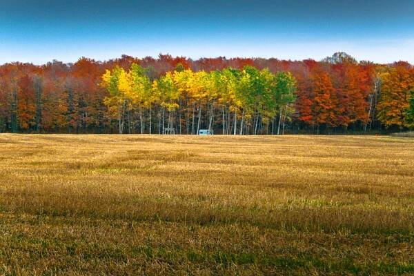 Wisconsin