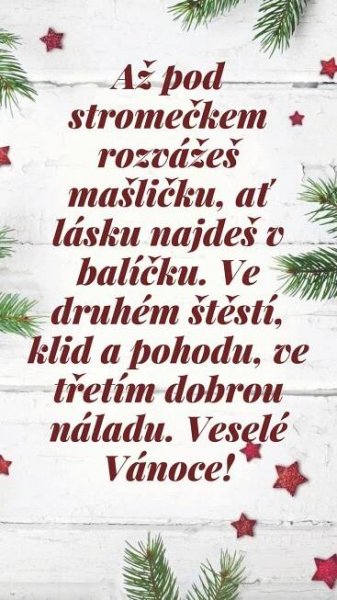 Pin di Milan Vodicka su vanoce | Natale