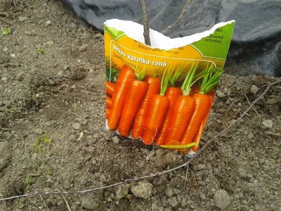 hrajeme si venku - Oficiální stránky obce Čejetice