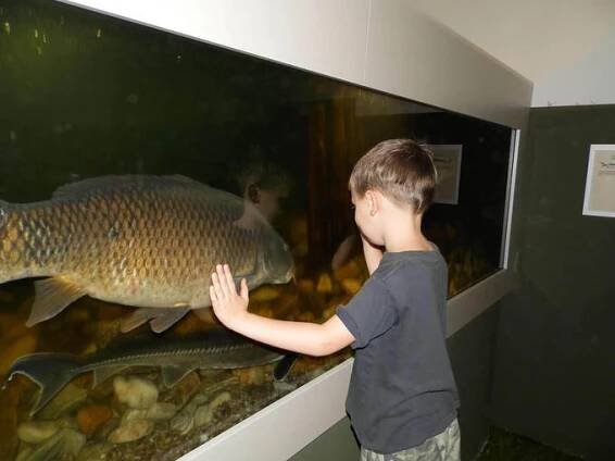 Akvarium Orlík