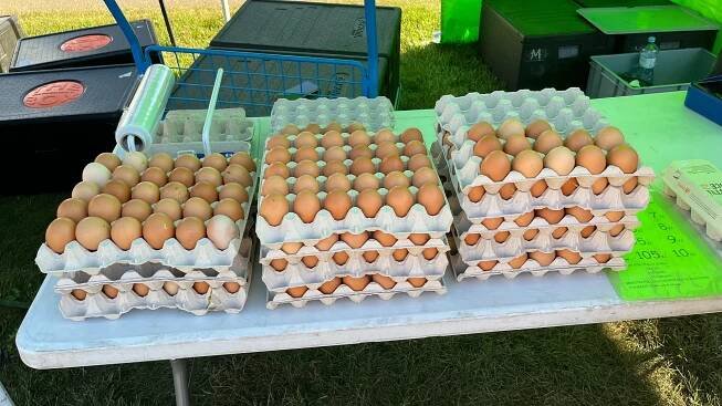 Pražské farmářské trhy 2024: Velký přehled nabídky a cen ovoce, zeleniny i občerstvení