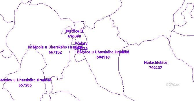 Katastrální mapa Bílovice