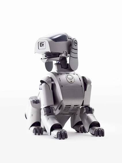 Japonský psí reproduktor #techguys #talktv #podcast #aibo #japan #japonsko