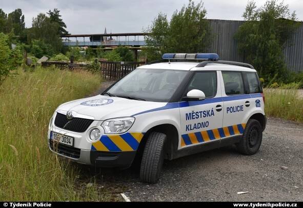 Vyjádření kladenské policie ke středečnímu pátrání po ozbrojeném muži | Týdeník Policie