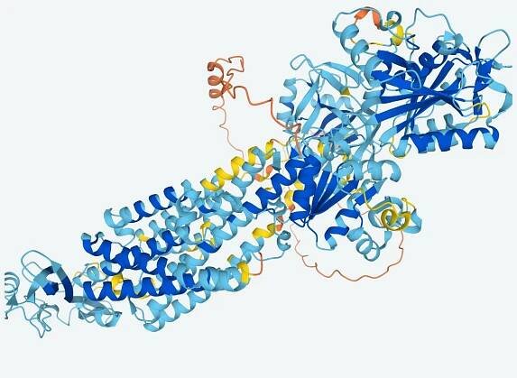 DeepMind AI has discovered the structure of nearly every protein known to science