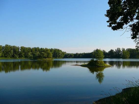 Fotografie - Antošovice-rybník Mžíkovec - 11.06.2007