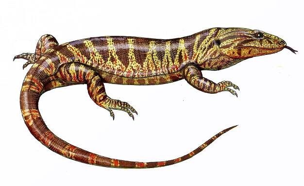 File:Telmasaurus22DB.jpg