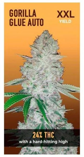 Gorilla Glue Auto