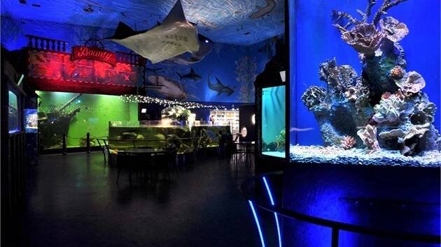 Mořský svět | Zoologické a botanické zahrady Praha | NaVylet.cz