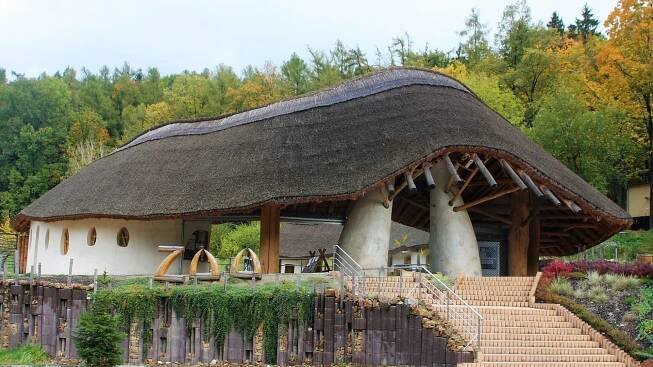 Pokud do zoo vkročíte hlavním vstupem, přivítá vás první expozice představující africkou přírodu.