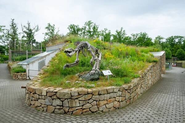 Zelené střechy dnes Češi dávají na školy i hotely. Dá se na nich relaxovat i vyučovat