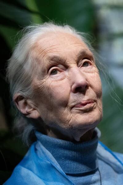 Jane Goodall
