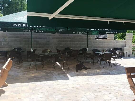 Penzion U Žabáků Dolní Morava -  - foto 14