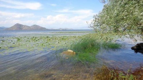Skadarské jezero nabízí nádhernou přírodu