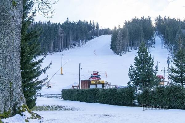 Sjezdovka FIS