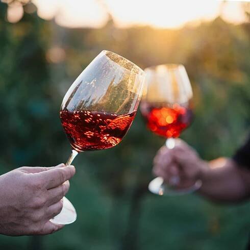Degustace 8-10 vín i prohlídka vinařství Hrabal - Obrázek 2