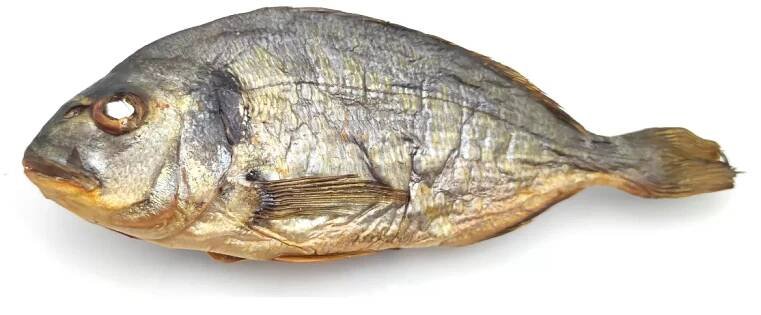 Dorada