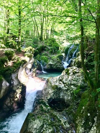 Šunikov vodni gaj, údolí Soči, Slovinsko