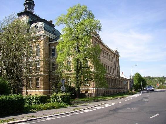 Soubor:Liliovník tulipánokvětý, Varnsdorf.JPG